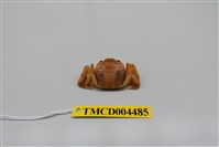 藏品(游氏弓蟹)的圖片